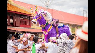 ไฮต์ไลท์ งานอุปสมบท พระแบงค์ วาคิม พูลเปรม