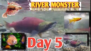 RIVER FISH. River Monster. Rear Fish. Mollyfish.guppyfish.Fish attack.Fish food. Defrent Fish. नदी