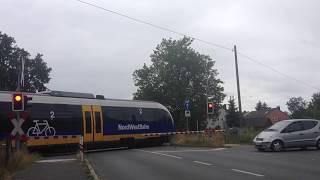 Spoorwegovergang Bielefeld-Senne (D) // Railroad crossing // Bahnübergang