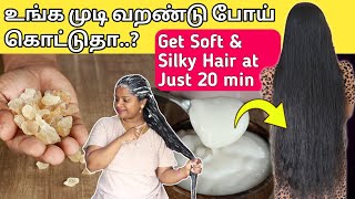 😱உங்க முடி வறண்டு போய் கொட்டுதா..? Stop Your Hair Loss Just 20 Minutes / Splitend / Hair Damage /