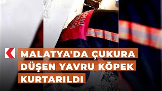 Malatya'da çukura düşen yavru köpek kurtarıldı