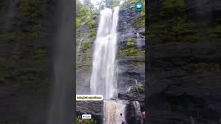 Balaghat Godri waterfall #godriwaterfall #balaghat #shorts #viral