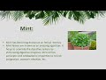 medicinal plants and their uses herbal plants hindi urdu concepts of botany