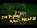 Zoo taiping night safari | in 4K