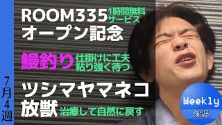 room335\\鰻\\ツシマヤマネコ放獣【Weekly対馬7.4】