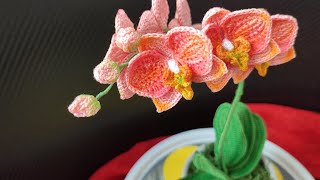 Crochet Mini Orchid/Cum crosetam Mini Orhidee