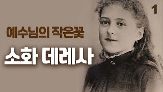 예수님의 작은꽃, 소화 데레사 1 (프랑스 맨발의 가르멜 수녀, 아기 예수의 데레사, 잔 다르크와 함께 프랑스의 수호성인)