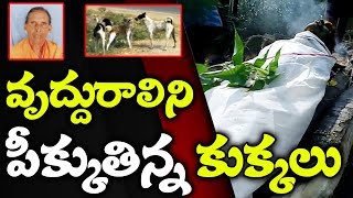 వృద్దురాలిని వీధిలోకి లాక్కెళ్లి పీక్కుతిన్న వీధి కుక్కలు..! | Srikakulam Dist | TV5 News