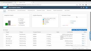 Ariba CIG Integration Project