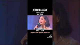 我只在乎你🌹经典歌曲🌹抖音神曲🌹流行音乐。