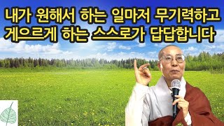 [효록스님 해방톡톡2] 내가 원해서 하는 일마저 게으르게 하는 스스로가 답답합니다