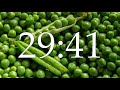 45 minutes of fresh natural and healthy peas countdown timer without alarm.