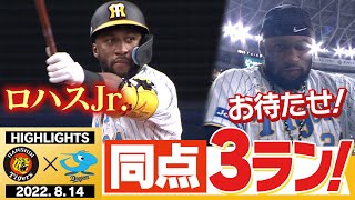 【8月14日 阪神 vs 中日】井上広大1軍合流！ロハス待望の同点3ランHR！踏ん張れリリーフ陣！阪神タイガース密着！応援番組「虎バン」ABCテレビ公式チャンネル