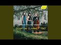 Clarinet Trio in A Minor, Op. 40: III. Andante