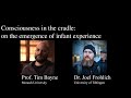 Consciousness in the Cradle: On the Emergence of Infant Experience by Tim Bayne & Joel Frohlich