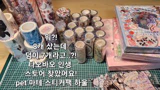 타오바오에서 pet마테 잔뜩! 스티커팩도 있어요! 다꾸템 9만원어치 주문했어요! 같이 구경해요! ASMR/타오바오 문구템 하울/대만 마테/직구/다이어리 용품/taobao haul