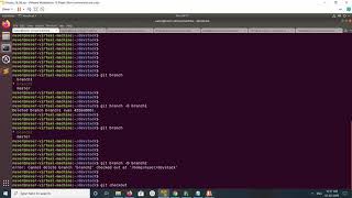 How to delete Local Git Branch