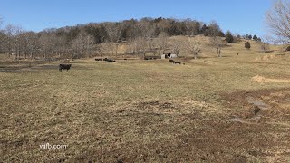 Russell County Agricultural Close Up