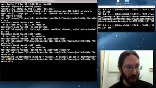 Using Python to Capture Tweet Counts