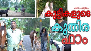 നല്ല exercise ആണ് കുതിര സവാരി, പഠിപ്പിക്കാൻ പഴയമ്പള്ളി കുതിര ഫാം Pazhayambally HorseFarm Ettumanoor