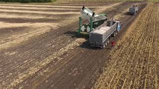 Drone Edible Navy Bean Harvest 2017