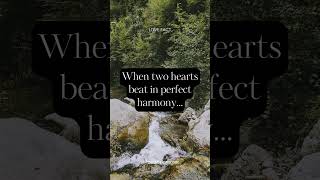 When two hearts beat in perfect harmony.... #viral #viralreels #shorts #quotes #facts