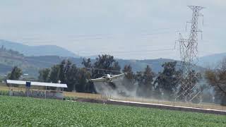 FUMIGANDO MAIZ CON AVIONETA