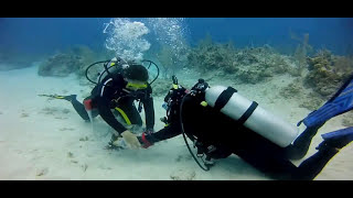 The Lionfish Tutorials: Collecting and Handling