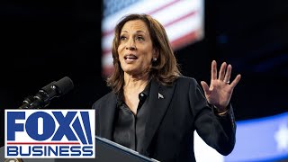 Kamala Harris delivers her 'closing argument' at the Ellipse in Washington, DC