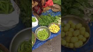 NAVSARI INDIA - FRESH FATM FRUIT