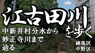 【4K撮影・全徒歩】江古田川を歩く　中新井村分水から妙正寺川まで辿る（たどる）　東京都練馬区・中野区