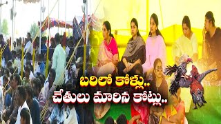 గోదావరి, కృష్ణా జిల్లాల్లో జోరుగా కోడి పందేలు |  Cock Fight In Krishna District \u0026 Godavari