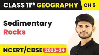 Sedimentary Rocks - Minerals And Rocks | Class 11 Geography