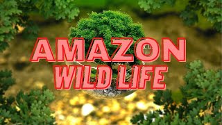 The Amazon Wildlife In 4K - Animals That Call The Jungle Home | Amazon Rainforest | Relaxation Film