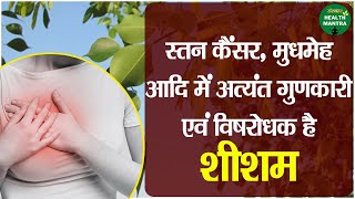 स्तन कैंसर, मुधमेह आदि में अत्यंत गुणकारी एवं विषरोधक है शीशम | Benefits Of Sheesham (Rosewood )