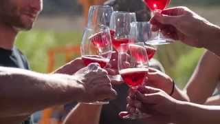 Schug Carneros Estate Documentary Teaser Clip