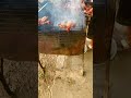 Nice cooking #bbqfood #followme #bbq #streetfood #streetfoodrecipes #bbqfoodie #bbqspot #food