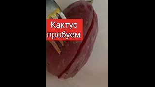 Купила плод кактуса и пробую на вкус