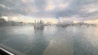A Ride on MBTA Ferry from Hingham to Long wharf