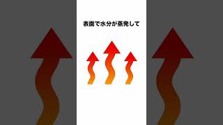 牛乳を温めるとできる膜の正体は？#豆知識 #1分雑学 #雑学 #知識 #トリビア #飲み物 #牛乳 #栄養 #膜#shorts