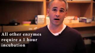 Standard Protocol for Restriction Enzyme Digests