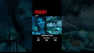 为什么阿凡达续集整整等了十三年才上映？看《阿凡达2》之前让我们一起回顾阿凡达起源之谜#moviereview #shorts #movierecap