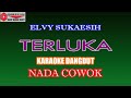 KARAOKE DANGDUT TERLUKA - ELVY SUKAESIH (COVER) NADA COWOK