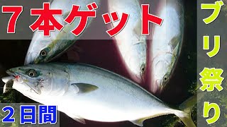 【青物】を釣りまくる！！7本ゲット　2日間青物ブリ祭りに遭遇！！！！！　鹿児島　釣り