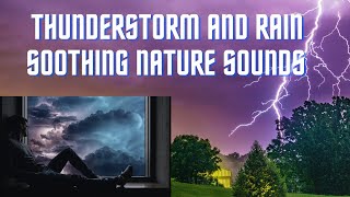 relaxing white noise sound|Thunderstorm rain sounds for sleeping|Rain in the wood|Rainstorm|Insomnia