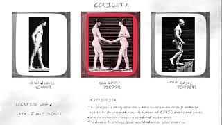 COVIDATA: Coronavirus Pandemic (COVID-19) Data Visualization