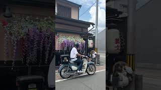 HONDAスーパーカブc125パールカルテッドグレー欲しいです