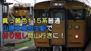 真っ黄色の115系普通 山陽本線相生駅で折り返し岡山行きに！