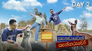 කැන්ගරුවෝ එක්ක දවසක් 🦘| Kangaroo Feeding In Canada | VLOG #15 | Canada Bodare 🇱🇰🇨🇦