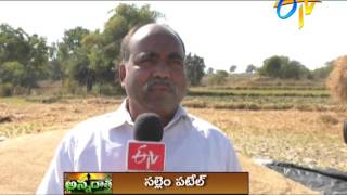 Good yields with RNR-15048 Telangana sona by Mahabubnagar Farmer